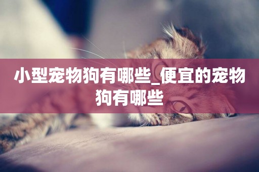 小型寵物狗有哪些_便宜的寵物狗有哪些