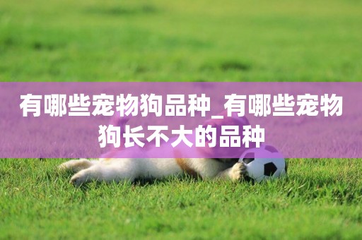 有哪些寵物狗品種_有哪些寵物狗長不大的品種