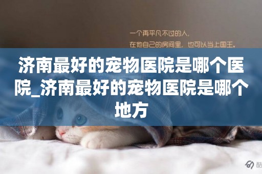 濟南最好的寵物醫院是哪個醫院_濟南最好的寵物醫院是哪個地方