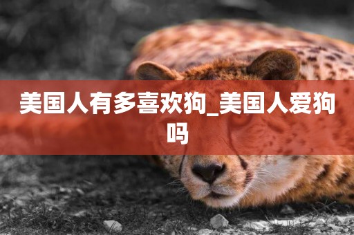 美國人有多喜歡狗_美國人愛狗嗎