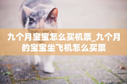 九個月寶寶怎么買機票_九個月的寶寶坐飛機怎么買票