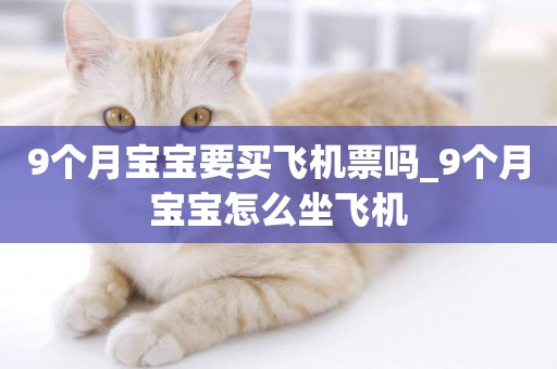 9個月寶寶要買飛機票嗎_9個月寶寶怎么坐飛機