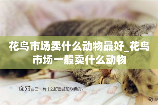 花鳥市場賣什么動物最好_花鳥市場一般賣什么動物