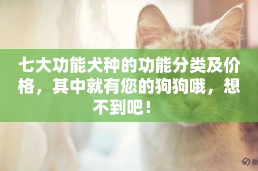 七大功能犬種的功能分類及價格，其中就有您的狗狗哦，想不到吧！ 