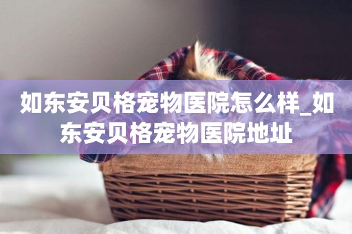 如東安貝格寵物醫院怎么樣_如東安貝格寵物醫院地址