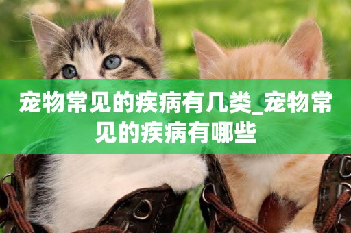 寵物常見的疾病有幾類_寵物常見的疾病有哪些