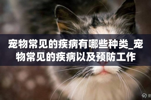 寵物常見的疾病有哪些種類_寵物常見的疾病以及預防工作
