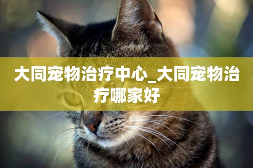大同寵物治療中心_大同寵物治療哪家好
