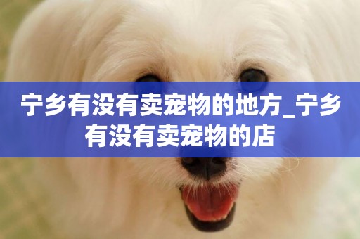 寧鄉有沒有賣寵物的地方_寧鄉有沒有賣寵物的店