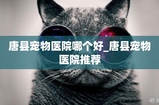 唐縣寵物醫院哪個好_唐縣寵物醫院推薦