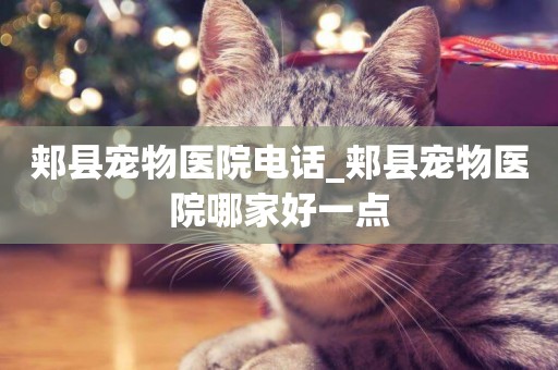 郟縣寵物醫院電話_郟縣寵物醫院哪家好一點
