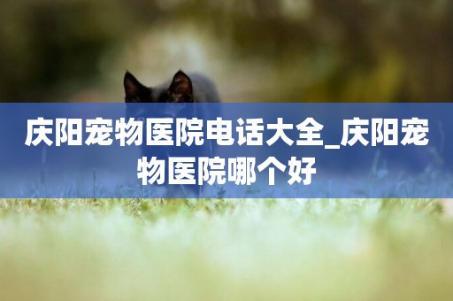 慶陽寵物醫院電話大全_慶陽寵物醫院哪個好