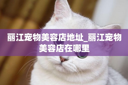 麗江寵物美容店地址_麗江寵物美容店在哪里