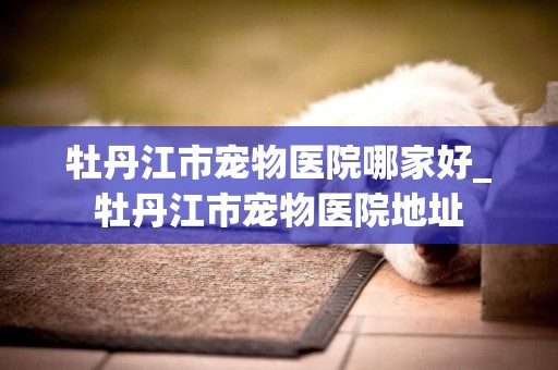 牡丹江市寵物醫院哪家好_牡丹江市寵物醫院地址