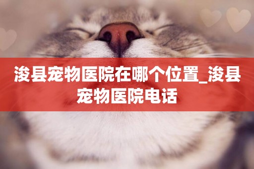 浚縣寵物醫院在哪個位置_浚縣寵物醫院電話