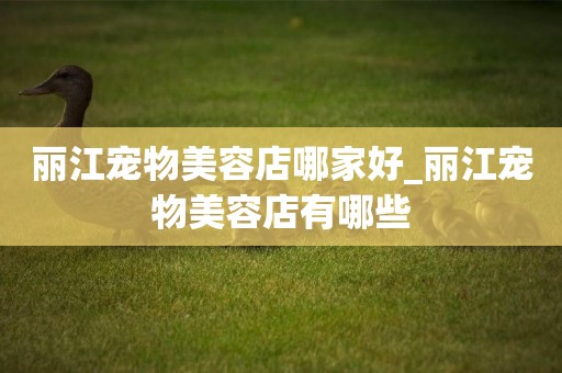 麗江寵物美容店哪家好_麗江寵物美容店有哪些