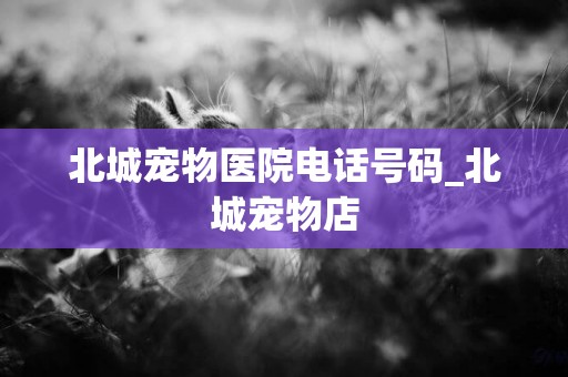 北城寵物醫院電話號碼_北城寵物店