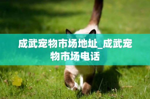成武寵物市場地址_成武寵物市場電話