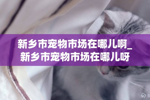 新鄉市寵物市場在哪兒啊_新鄉市寵物市場在哪兒呀