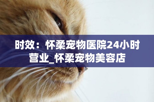 時效：懷柔寵物醫院24小時營業_懷柔寵物美容店