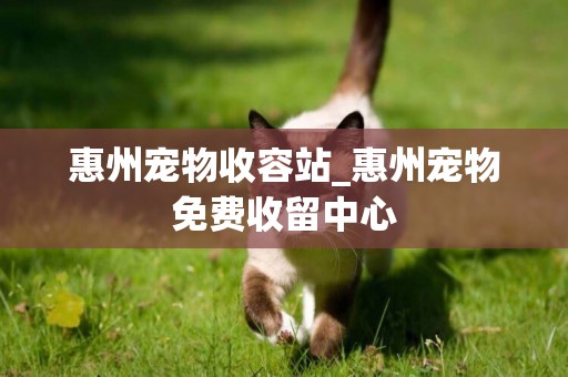 惠州寵物收容站_惠州寵物免費收留中心