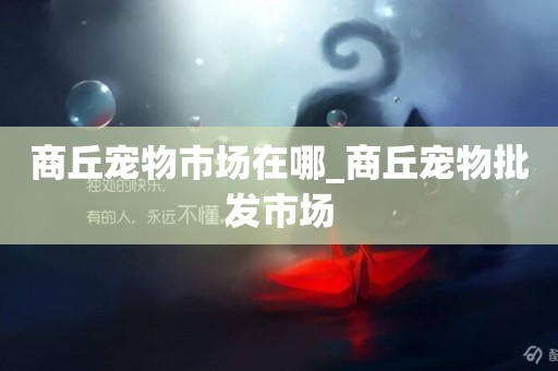 商丘寵物市場在哪_商丘寵物批發市場