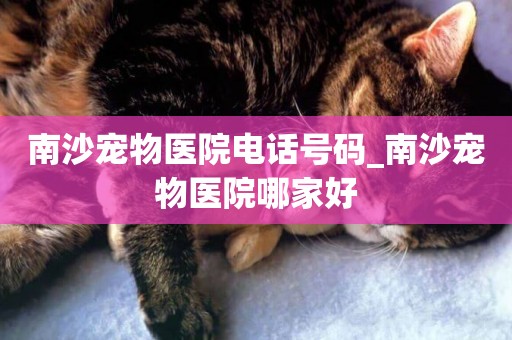 南沙寵物醫院電話號碼_南沙寵物醫院哪家好
