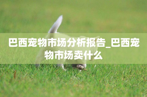 巴西寵物市場分析報告_巴西寵物市場賣什么