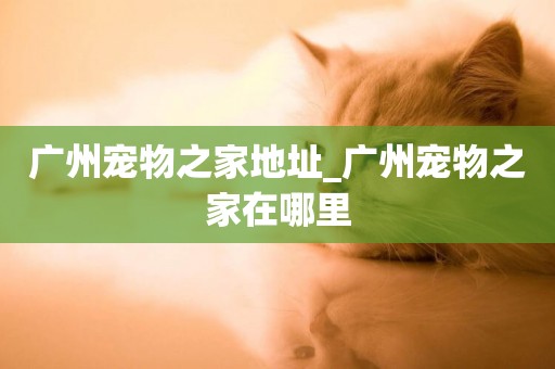 廣州寵物之家地址_廣州寵物之家在哪里