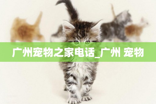 廣州寵物之家電話_廣州 寵物