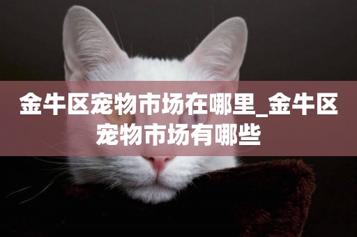 金牛區寵物市場在哪里_金牛區寵物市場有哪些
