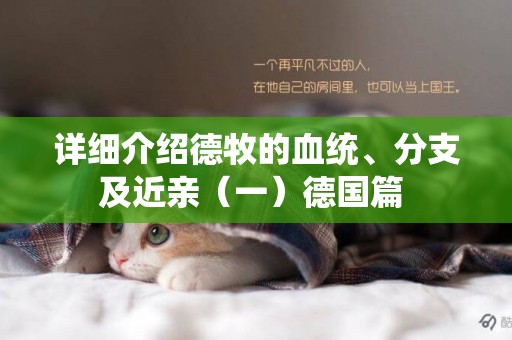 詳細介紹德牧的血統、分支及近親（一）德國篇 