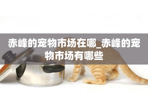 赤峰的寵物市場在哪_赤峰的寵物市場有哪些