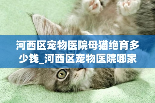 河西區寵物醫院母貓絕育多少錢_河西區寵物醫院哪家好