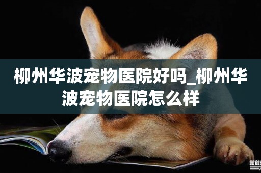柳州華波寵物醫院好嗎_柳州華波寵物醫院怎么樣