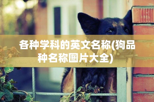 各種學科的英文名稱(狗品種名稱圖片大全) 