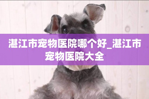 湛江市寵物醫院哪個好_湛江市寵物醫院大全