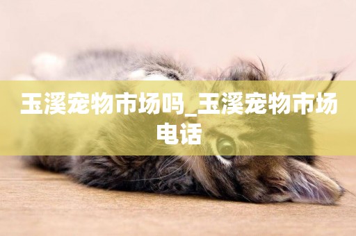 玉溪寵物市場嗎_玉溪寵物市場電話