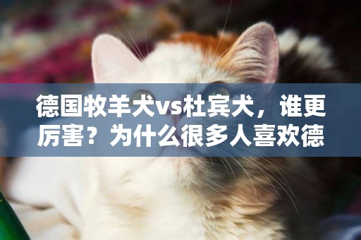 德國牧羊犬vs杜賓犬，誰更厲害？為什么很多人喜歡德牧？ 