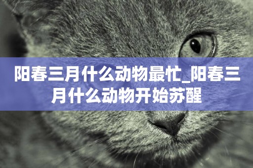 陽春三月什么動物最忙_陽春三月什么動物開始蘇醒