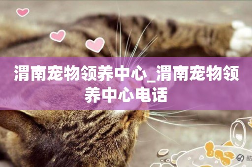渭南寵物領養中心_渭南寵物領養中心電話