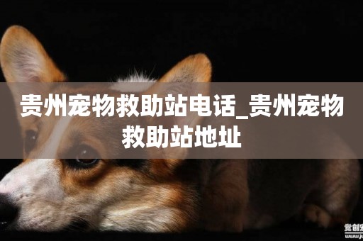 貴州寵物救助站電話_貴州寵物救助站地址