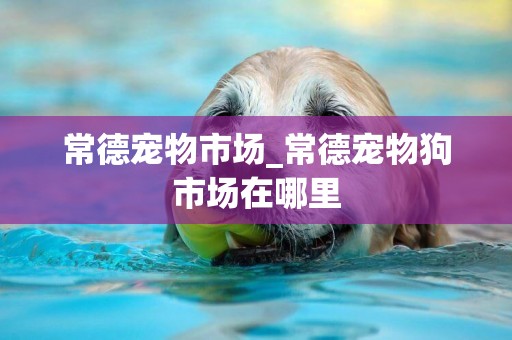 常德寵物市場_常德寵物狗市場在哪里