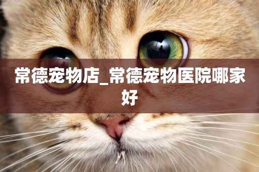 常德寵物店_常德寵物醫院哪家好