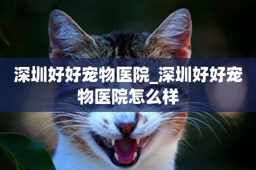 深圳好好寵物醫院_深圳好好寵物醫院怎么樣