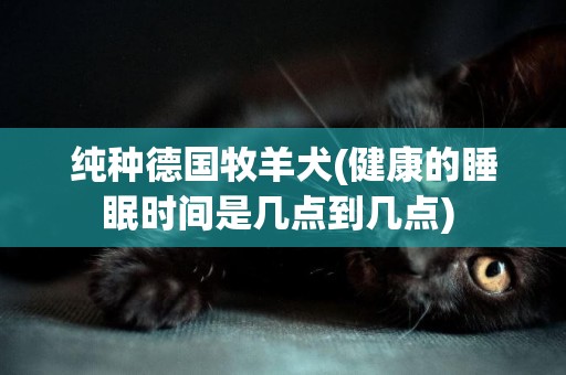 純種德國牧羊犬(健康的睡眠時間是幾點到幾點) 