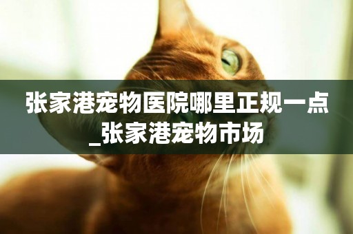 張家港寵物醫院哪里正規一點_張家港寵物市場