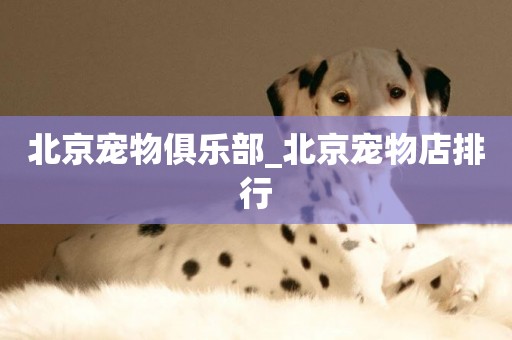 北京寵物俱樂部_北京寵物店排行