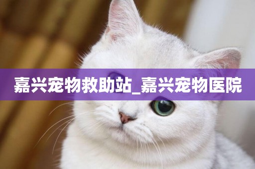 嘉興寵物救助站_嘉興寵物醫院