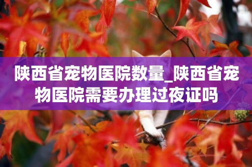 陜西省寵物醫院數量_陜西省寵物醫院需要辦理過夜證嗎